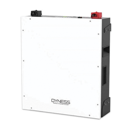 Dyness 48V / 100AH Battery